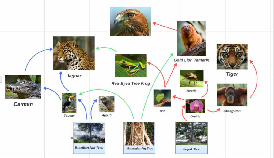 A Complex Web of Relationships - Beauty, Bounty & Biodiversity